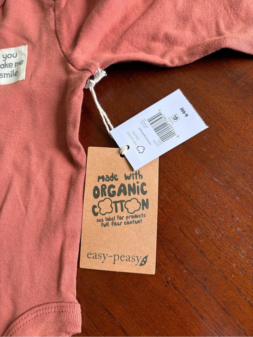 NWT Easy Peasy Organic Cotton Long-Sleeve Bodysuits - Rust & Sage Stripe TR10